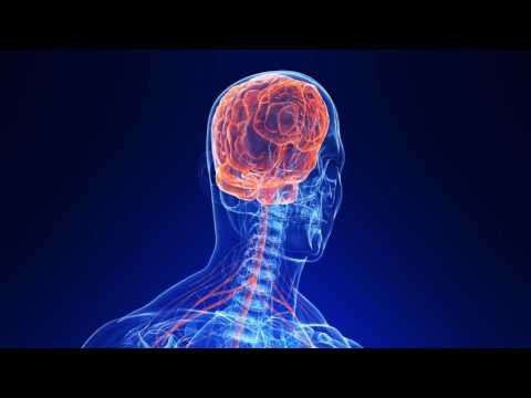 CWRU BME – Dominique M. Durand, PhD