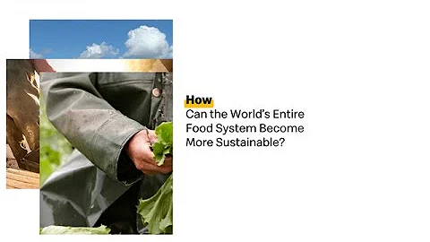 McDonald’s Shares Progress on 2020 Sustainable Sourcing Goals
