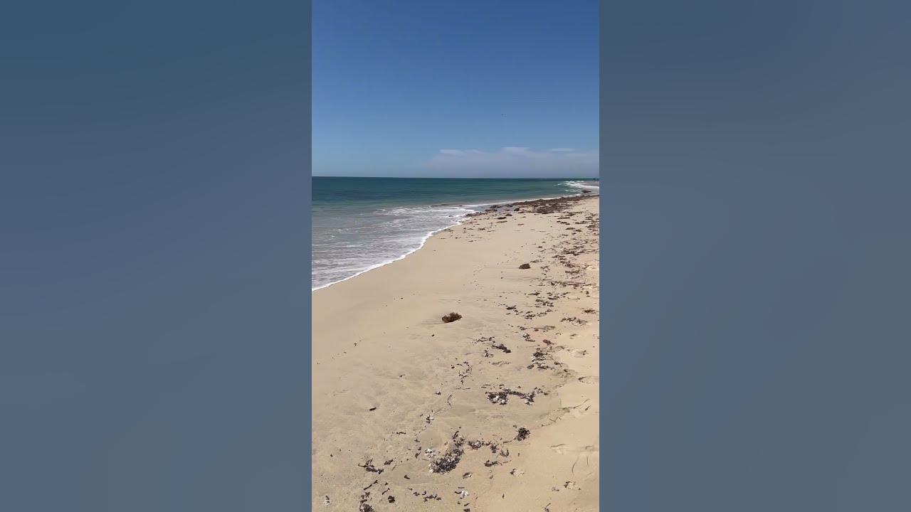 Well there is no snow here australia homeagain melrosebeach 