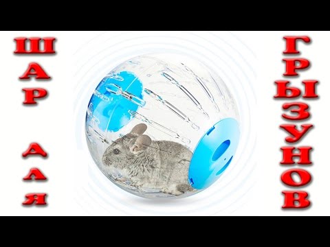 🐀Посылка с AliExpress: Шар диаметром 18,5 см для домашних питомцев