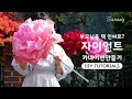 부모님을 핵 인싸로!? 자이언트 카네이션 만들기! ㅣ 페이퍼 아티스트 사랑 ❤️