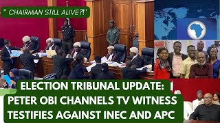 Information Peter Obi Witness Testifies Against INEC at Tribunal | APC Lawyers Asked if INEC Chair Still Alive Update