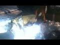 Bodycam: Suspect Shot During K9 Deployment. Sparks, NV. February 23, 2022.