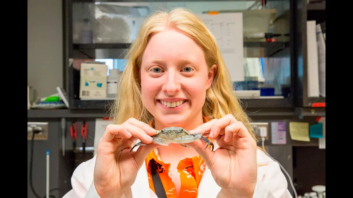 Early development of blue crabs with Leah Maurer
