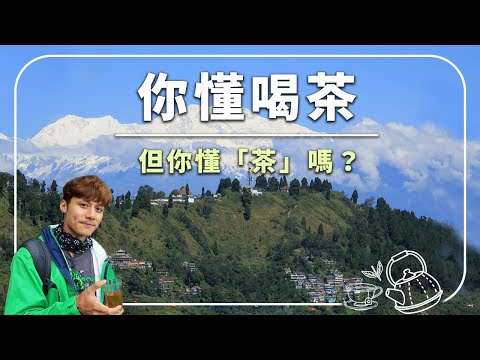 【這杯紅茶憑什麼賣翻全球？】廖科溢帶您走入印度—馬凱貝瑞，品嚐大吉嶺紅茶的美味祕密！｜#發現大絲路 #廖科溢 #印度 #馬凱貝瑞 #大吉嶺 # ...