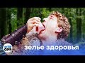 ЗЕЛЬЕ ЗДОРОВЬЯ | ТИПИЧНЫЙ НПС (chuproff)