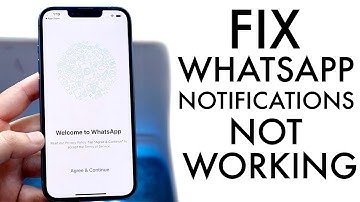 How To FIX WhatsApp Notifications Not Working!