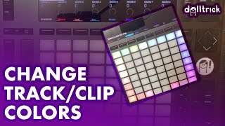 How to Color Tracks & Clips | Push Play! | A Tr!ck A Day with dolltr!ck