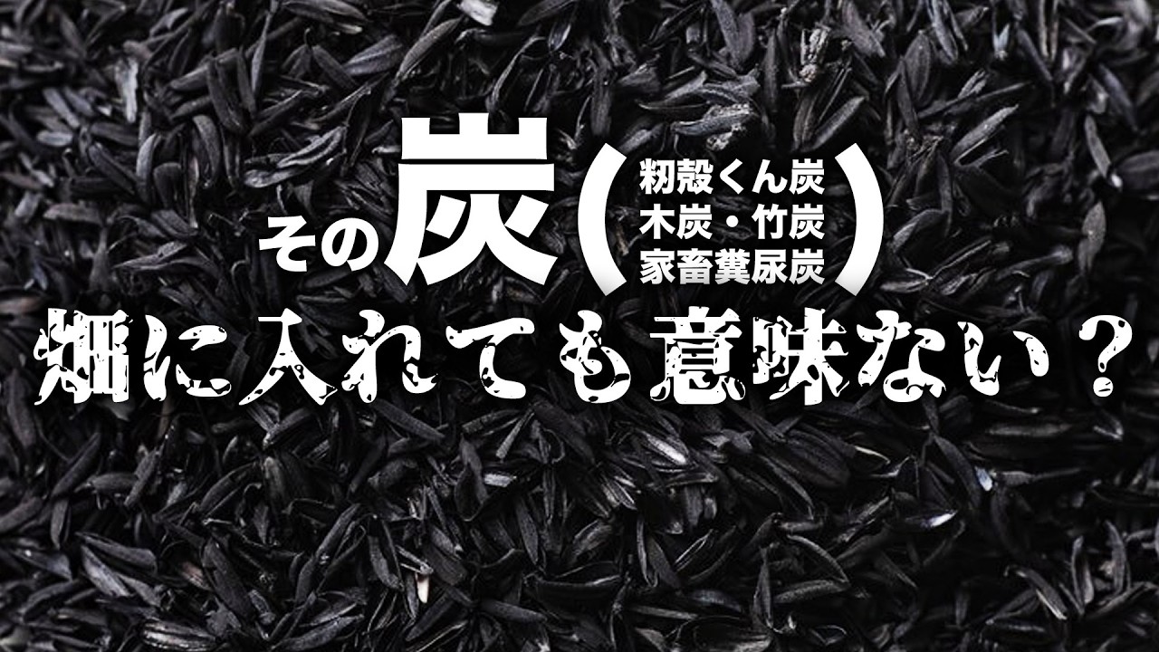 【もみがら燻炭】バイオ炭は微生物のマンション【木炭・竹炭他】