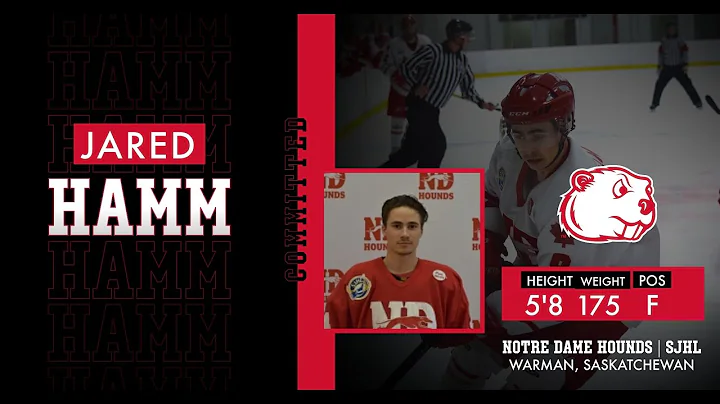 Junior A Hounds Chats: Jared Hamm