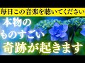 【今、奇跡が動き出す】聴くたびに幸運の流れが加速します。脱皮し、あなたは新しい世界へ進みます。