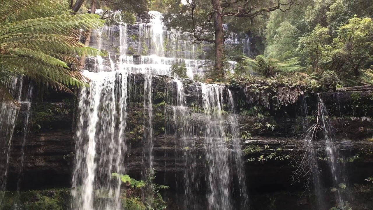 Russell Falls, Mount Field National Park YouTube