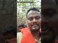 Tamilevergreensongs tourspot tamilnadu pichavaram forest biggest  asia