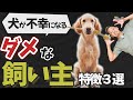 【当てはまったら即アウト】100％犬を不幸にする飼い主の特徴３つを獣医師が解説