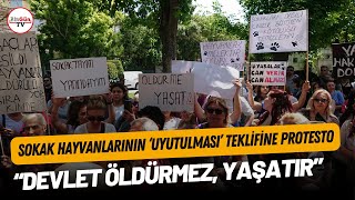 Ankara'da hayvanseverlerden protesto: 'Devlet öldürmez, yaşatır. Yaşatan yasa istiyoruz'