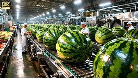 Inside a Modern Watermelon Factory: From Fresh Watermelon to Delicious Desserts (The Whole Process)