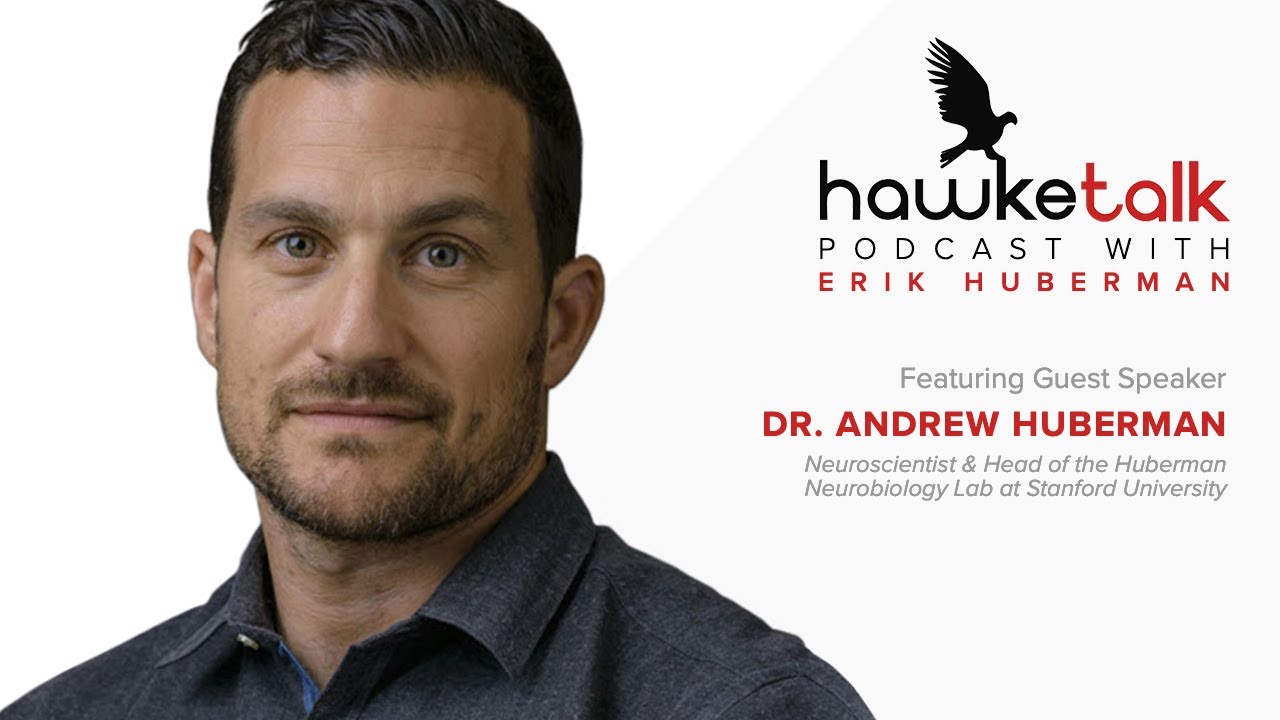 19 Hawketalk Dr Andrew Huberman Head Of The Huberman Neurobiology Lab At Stanford University Youtube