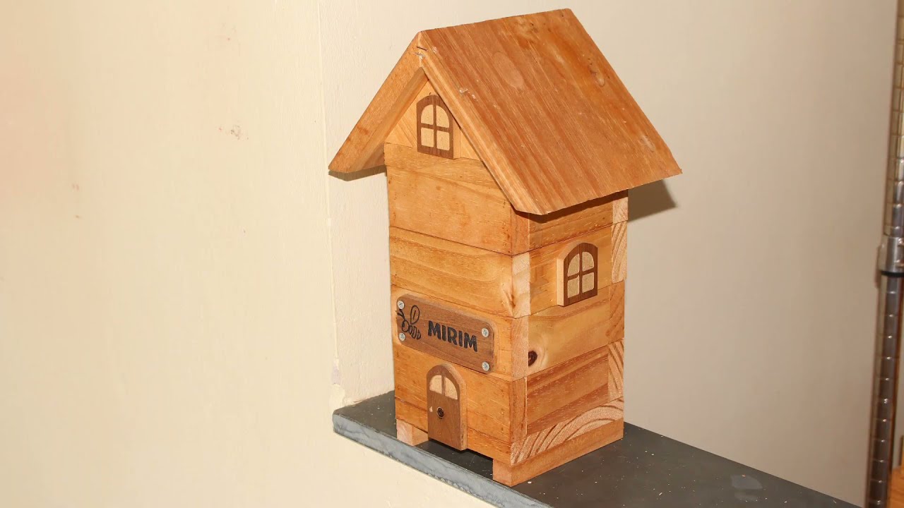 Saiba mais: Parte 2 - Como mudar sua colmeia de abelhas sem ferrão de lugar?