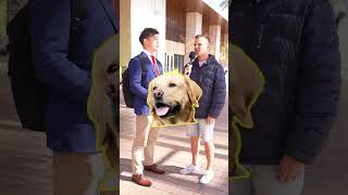 Are Furries Good Or Bad?