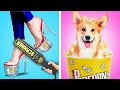 FUNNY Ways To SNEAK PETS | Awesome Pet Sneaking Ideas & Funny Situations by KABOOM!