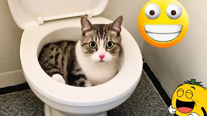 Watch the video about 😂 FUNNY DOGS & CATS videos 2025😂 Hilarious CUTE & Funny Animals Video 2025 | 😹🐶 Funny Pets Moments