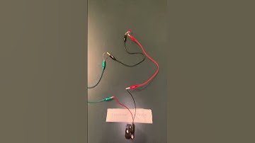 Alligator Clip Circuit