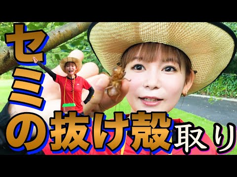 夏の風物詩!「どうぶつの森」みたいなロケで、まさかの結果に!?