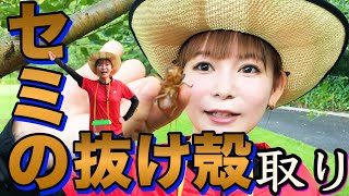 夏の風物詩！「どうぶつの森」みたいなロケで、まさかの結果に！？