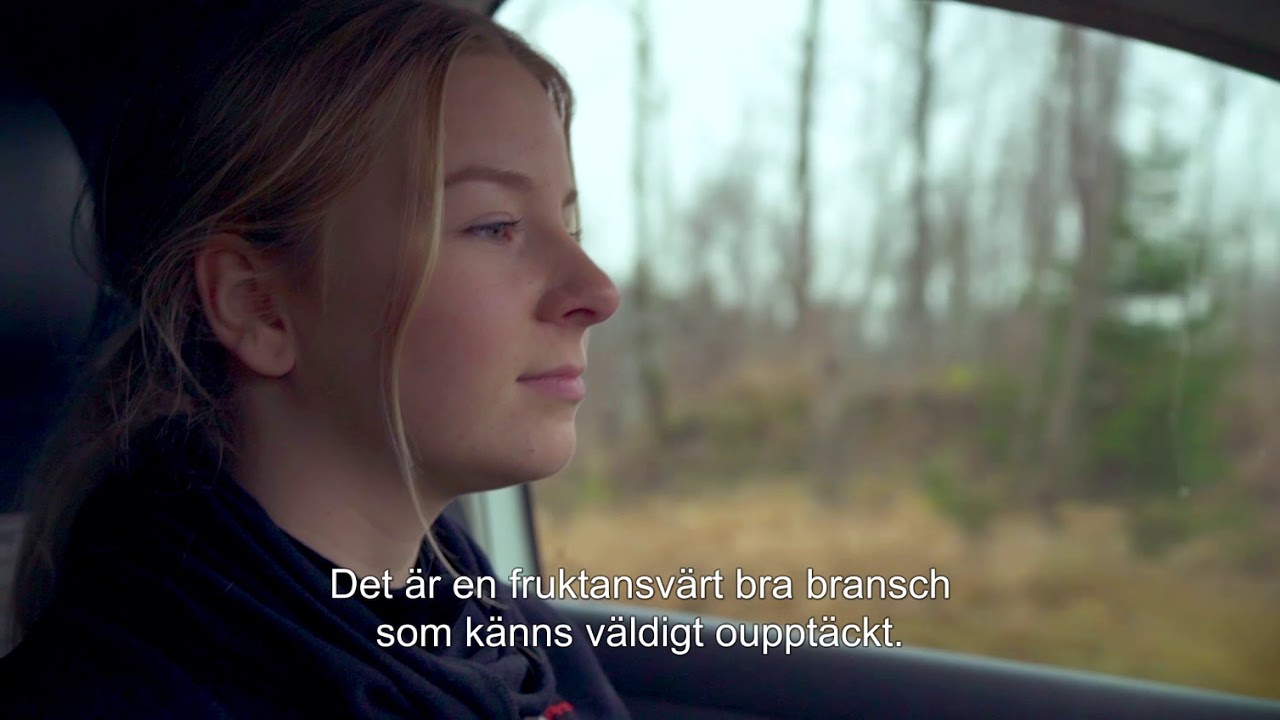 Distributionselektrikern Ida