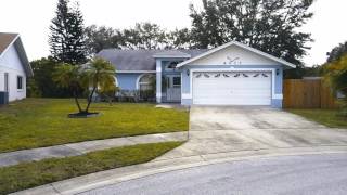 6433 49th Ave N St Pete   Drone w Music