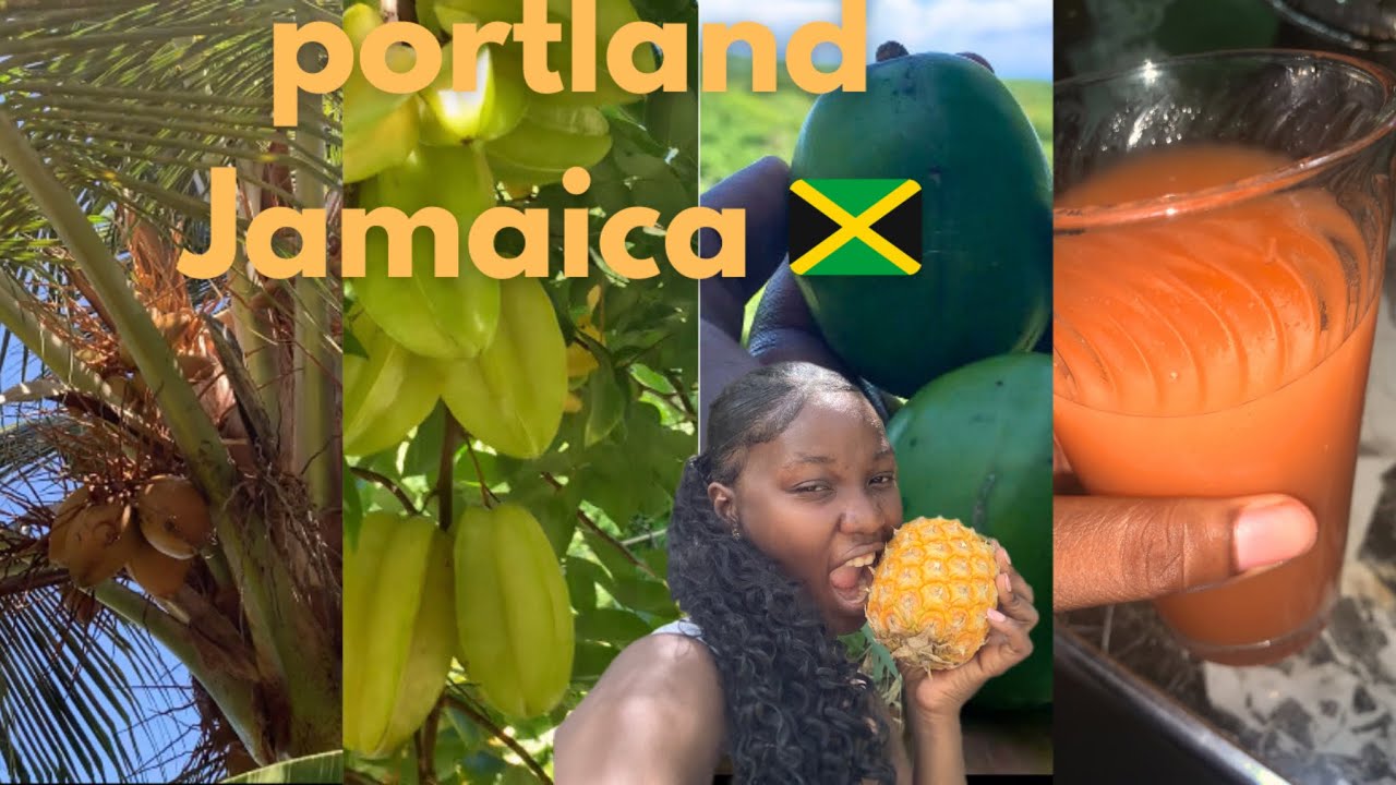 Country life off grid in Jamaica🇯🇲+ Explore Port Antonio with me +make natural juice with me🌸