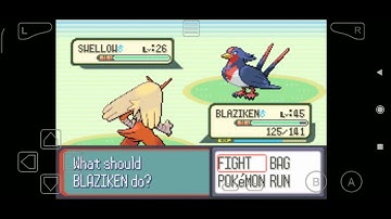 Pokémon Ruby - Route 123