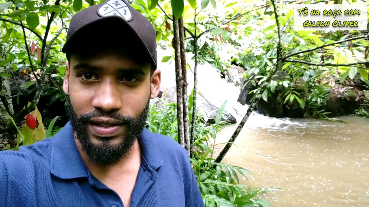 Veja diferença entre Rio perene e rio intermitente muita chuva no sitio YouTube