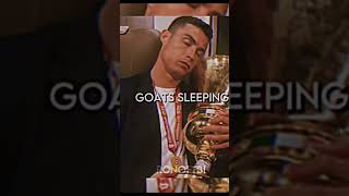 G.o.a.t.s Sleeping | Гоаты Спят🤫🤫🤫