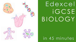 All of Edexcel iGCSE Biology in 45 mins - GCSE Science Revision