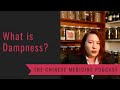 What is Dampness? The Chinese Medicine Podcast with Marie Hopkinson