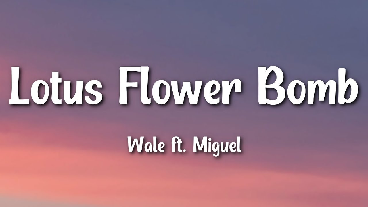 Wale - Lotus Flower Bomb (Lyrics) ft. Miguel - YouTube