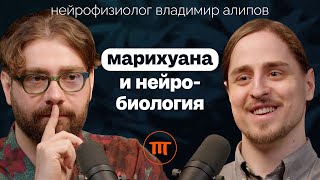 Каннабис/Конопля/Марихуана: вокруг чего столько споров? Нейробиолог Владимир Алипов