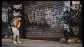 Video for Basquiat (film)