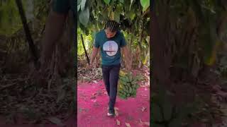 Would you get breakfast in a farm or supermarket? #jamaica #clarendon