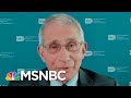 Dr. Fauci: 'We Should Be Flooding The System With Tests' | MTP Daily | MSNBC