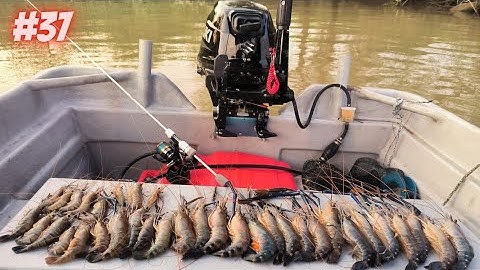 Pembukaan 2024 || Starike Jenggo Sempai  Menjerit Drag!! || Mancing Udang Galah Bersama Subscribe