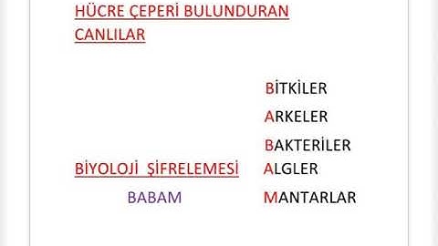 Şifreleme yöntemi sayesinde hiçbir konuyu unutamayacaksınız.#yks #yks2022 #yöntem #ykstayfa #şifre