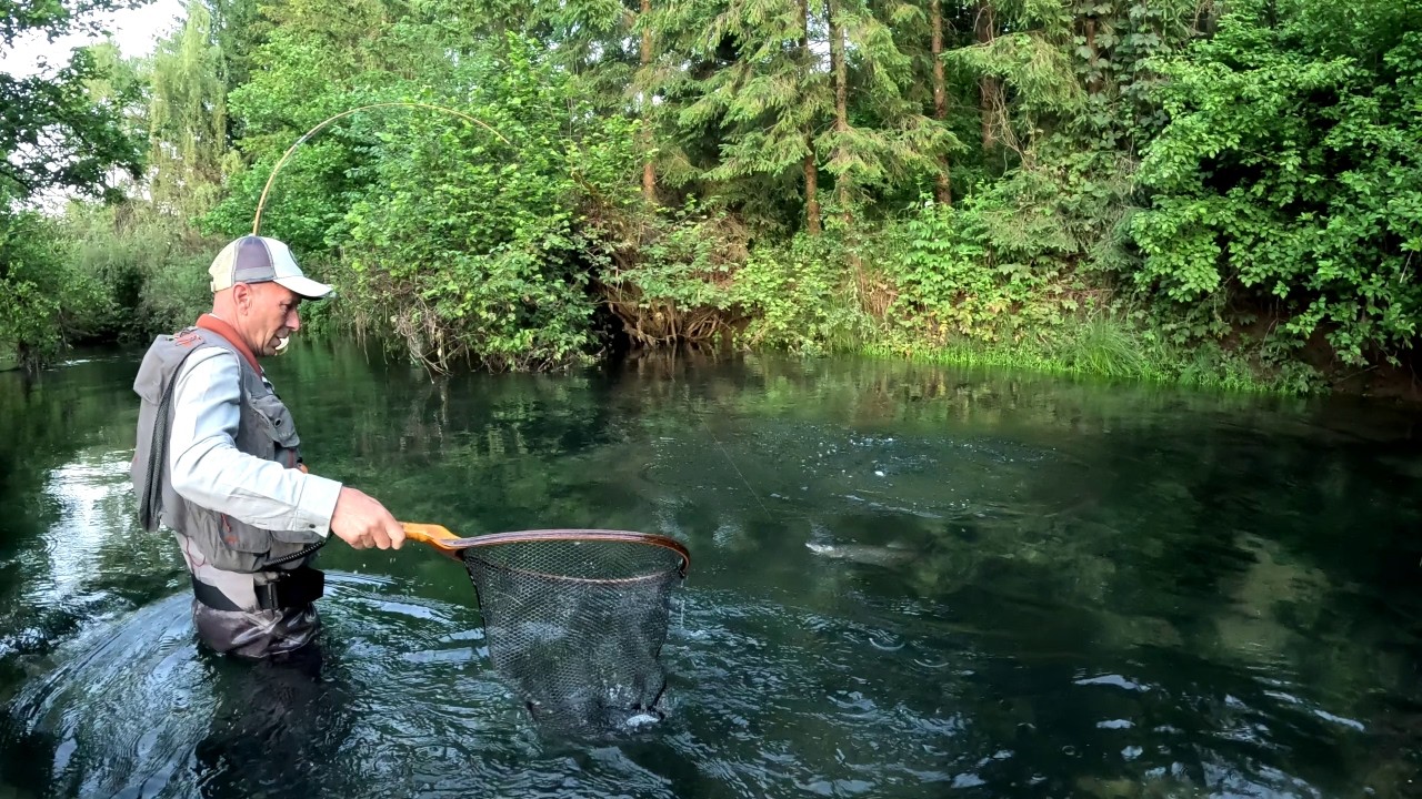 Pesco per la pima volta in un chalk stream sconosciuto pesca a mosca secca trote con canna in bamboo