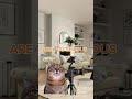 Pov first time as a actor #catmeme #funnycat #cat #catvideos