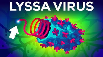 The Deadliest Virus on Earth