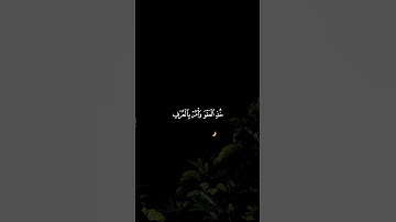 ماتيسر من سورة الأعراف | القارئ : احمد النفيس #quran_h2o