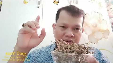Bài thuốc dân gian trị bệnh nang gan. Men gan cao rất hay