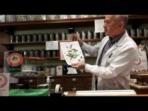 Video: Differenza Tra Tè Verde E Tè Nero