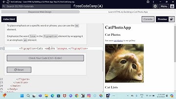 Responsive Web Design  Learn HTML by building a cat photo app step 25